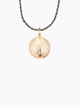 Bola-koru Ginkgo-puu kulta