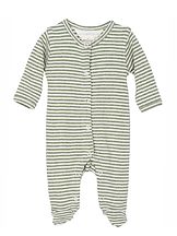 Potkupuku raidallinen Moss / Offwhite
