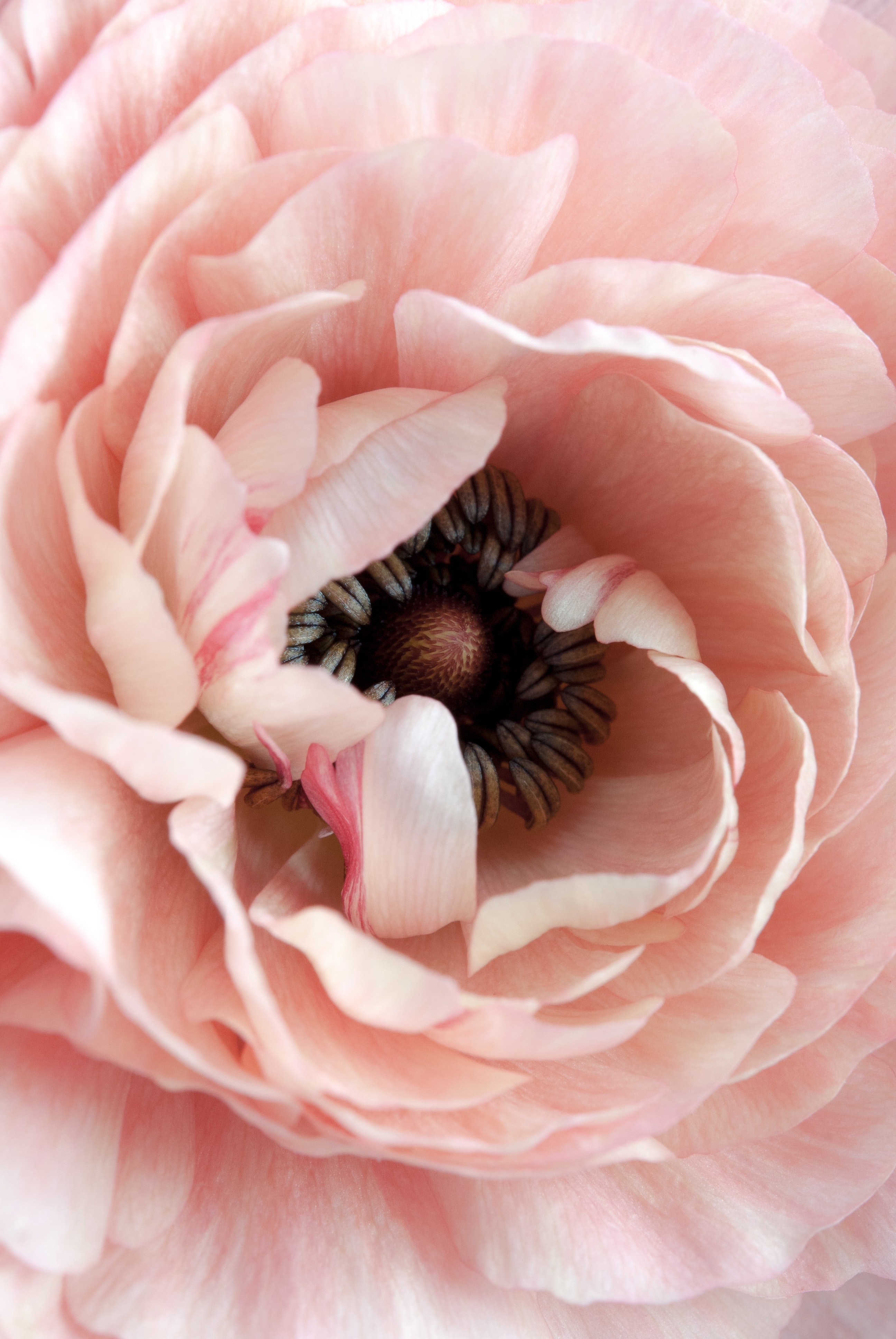 Janine Joles / Unsplash