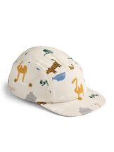 Lippalakki Rory Around The World